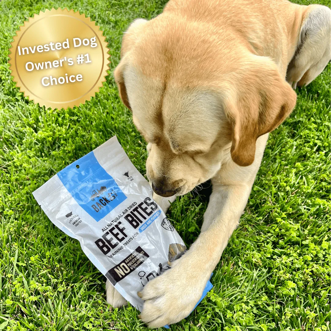 Beef Bites Bundle (2): All Natural Premium Air Dried Training Treats - 16oz