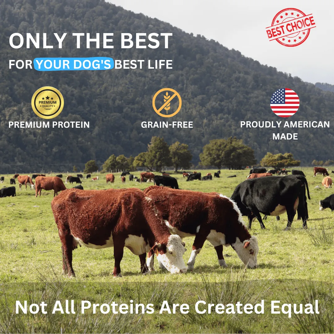 Beef Bites Bundle (2): All Natural Premium Air Dried Training Treats - 16oz