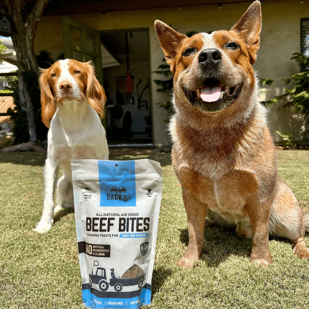 Beef Bites Bundle (2): All Natural Premium Air Dried Training Treats - 16oz