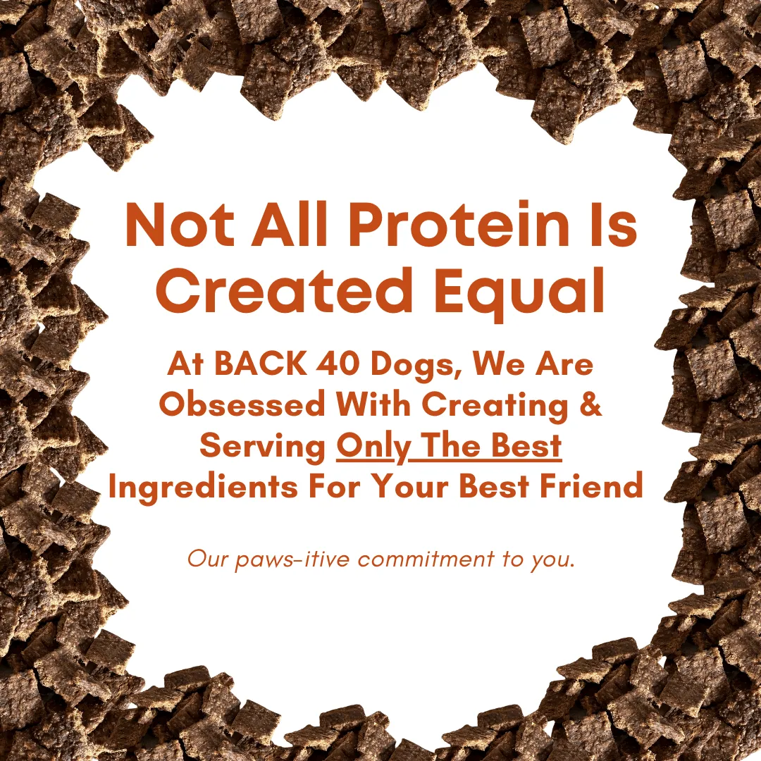 Beef Bites Bundle (2): All Natural Premium Air Dried Training Treats - 16oz