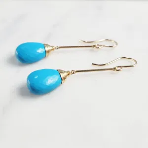 Turquoise Long Dangle Earrings